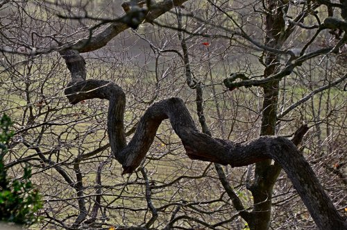 Otterton bends