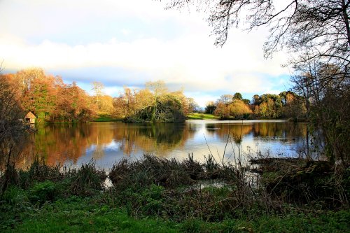 Bicton's lake