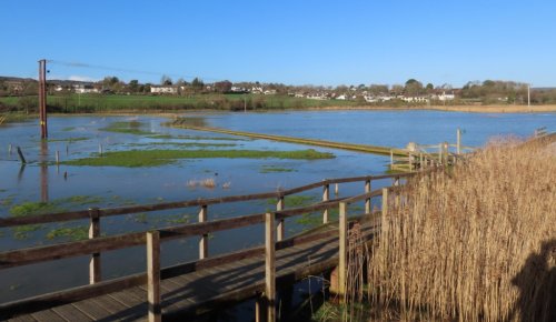 Wetlands