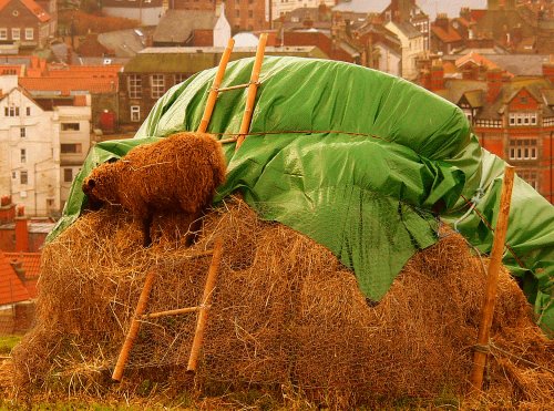 Whitby Sheep