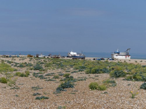 Dungeness