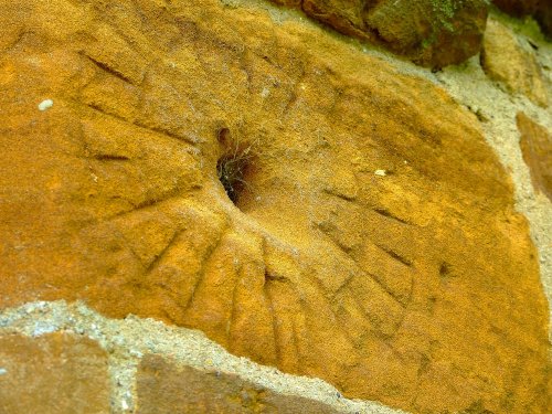 Mass or Scratch Dial on Ecton Church Wall Northamptonshire