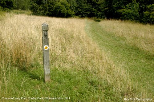 Cotswold Way Marker, Coaley Peak, nr Coaley, Gloucestershire 2013