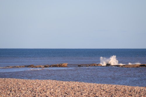 Ottermouth