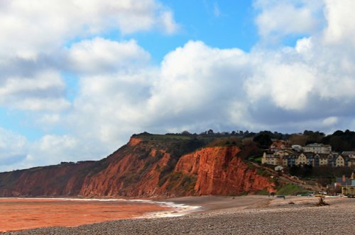 Budleigh March sunshine