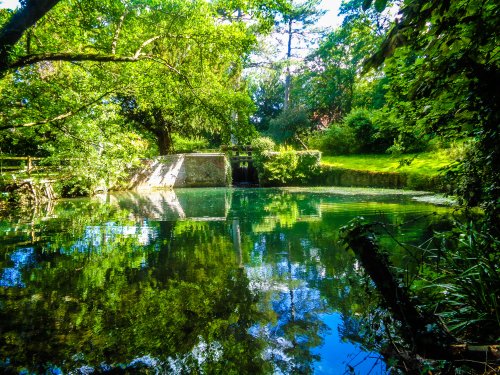 The Mill Pond