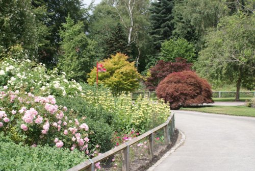 Golden acre park