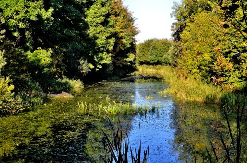 Brnsley Canal