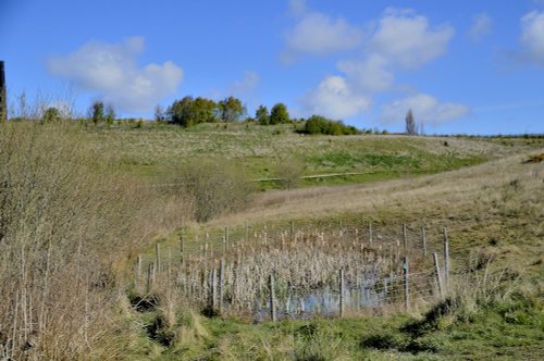 Rabbit Ings Country Park, Royston