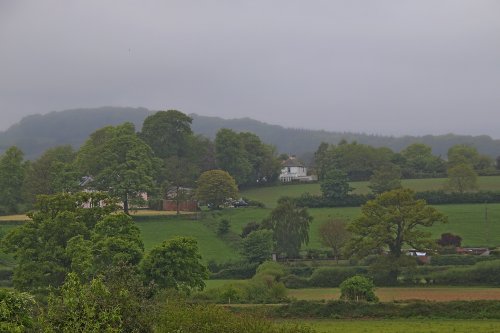 Frogmore Lane, East Budleigh