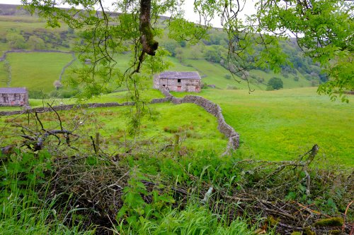 Beautiful countryside on Swaledale with its amazing stone walls and rural hedgrows