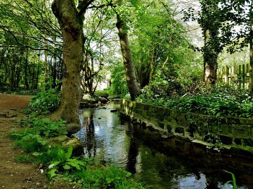 Harley Dike, Elsecar