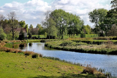 Lower Fish Pond, Cusworth Hall, Doncaster