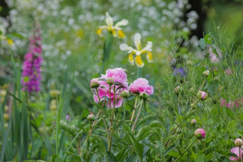 Stunning Spring Colours