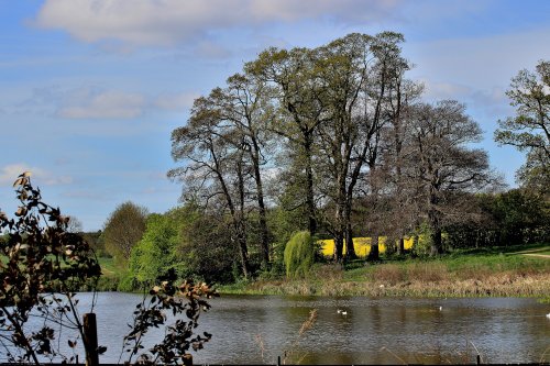 Upper Fishponds, Cusworth Hall and Gardens, Doncaster