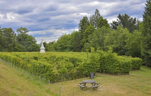 The Hedge maze at Riverhill Gardens