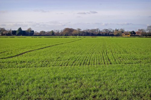 Kentish landscape