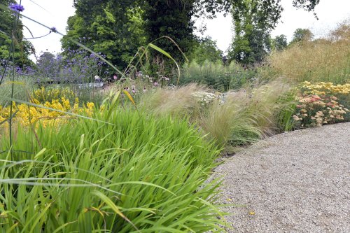 Diana Walk, Hever Castle