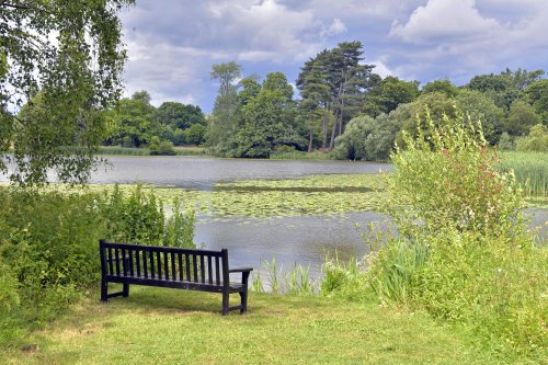 Lake Walk, Hever Castle