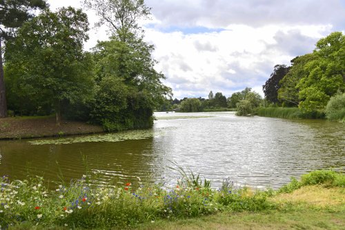 Lake Walk, Hever Castle