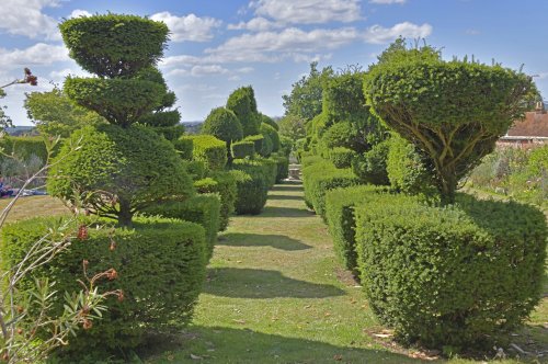 Mount Ephraim Gardens