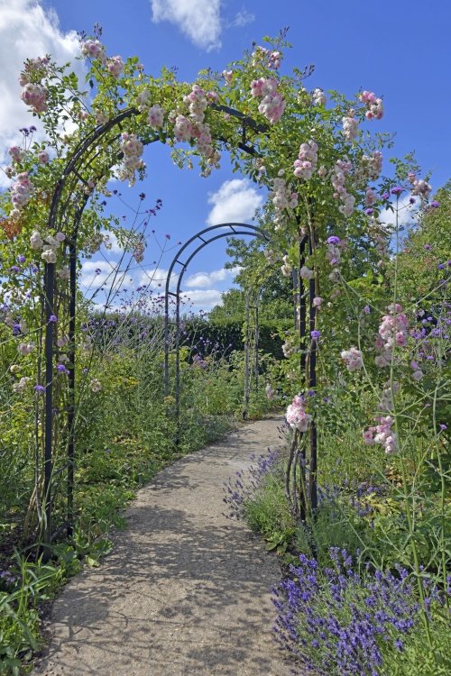 Mount Ephraim Rose Garden