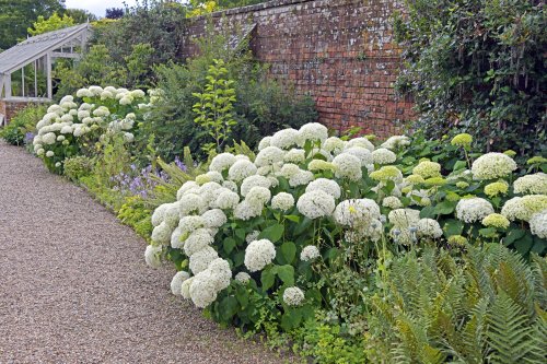 Godinton House Garden, Great Chart