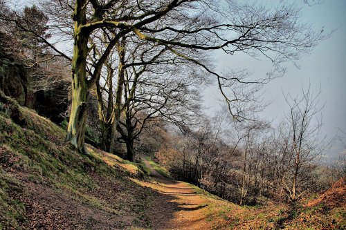 Otley Chevin