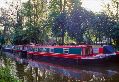Barges moored on the Wey Navigation at Farncombe, near Godalming