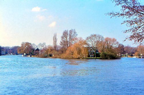 River Thames at Shepperton