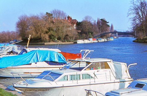 Boats moored on the Thames at Shepperton
