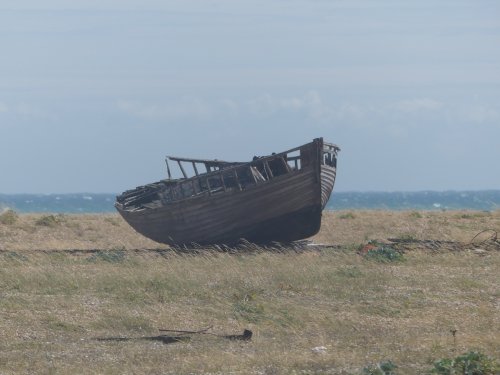 Dungeness