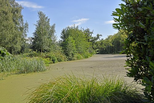 Hoveton Hall Garden