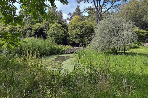 Hoveton Hall Garden