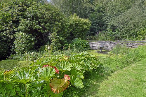 Hoveton Hall Garden