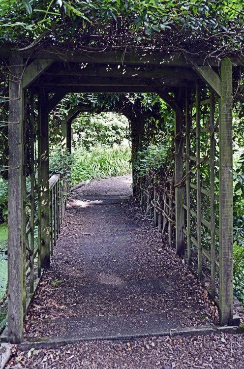 Hoveton Hall Garden