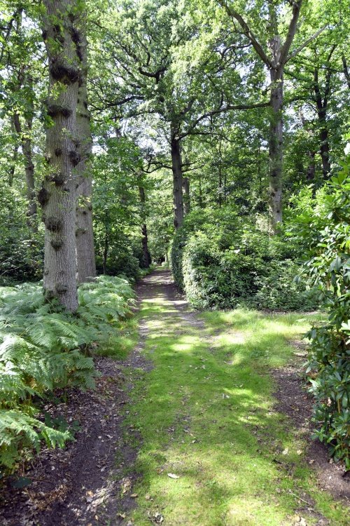 Hoveton Hall Garden