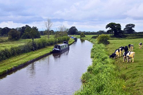 The Shropshire Union Canal at Tiverton