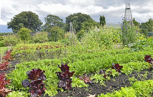 Arley Hall  Gardens