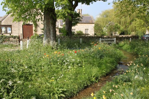 The Swine Brook in the centre of Swinbrook