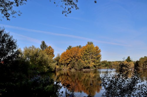 Ferrymoor Flash Grimethorpe