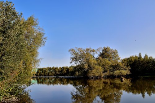 Ferrymoor Flash, Grimethorpe