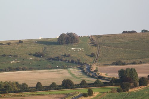 The Broad Hinton White Horse