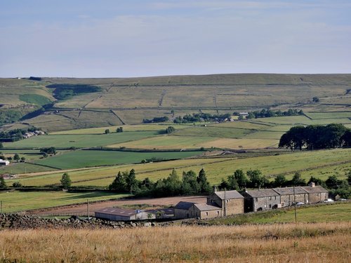 Haworth Moor