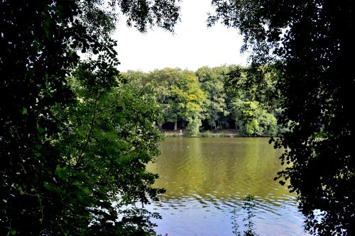 Newmillerdam Country Park