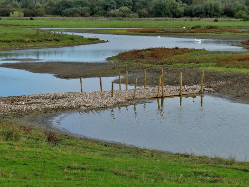 RSPB Old Moor