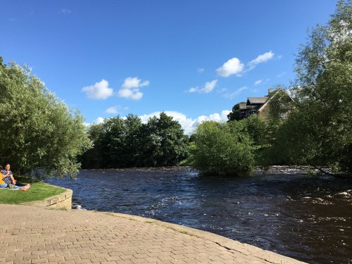 The River Wharfe, Wetherby