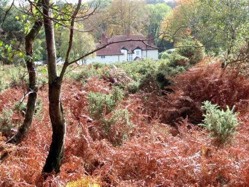 Lympstone  common