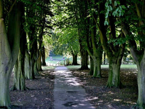 Elsecar Park