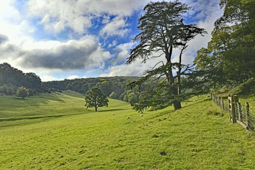 Dumbleton Hall Grounds